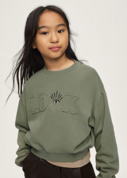Pullover apliques bordados - Salvia